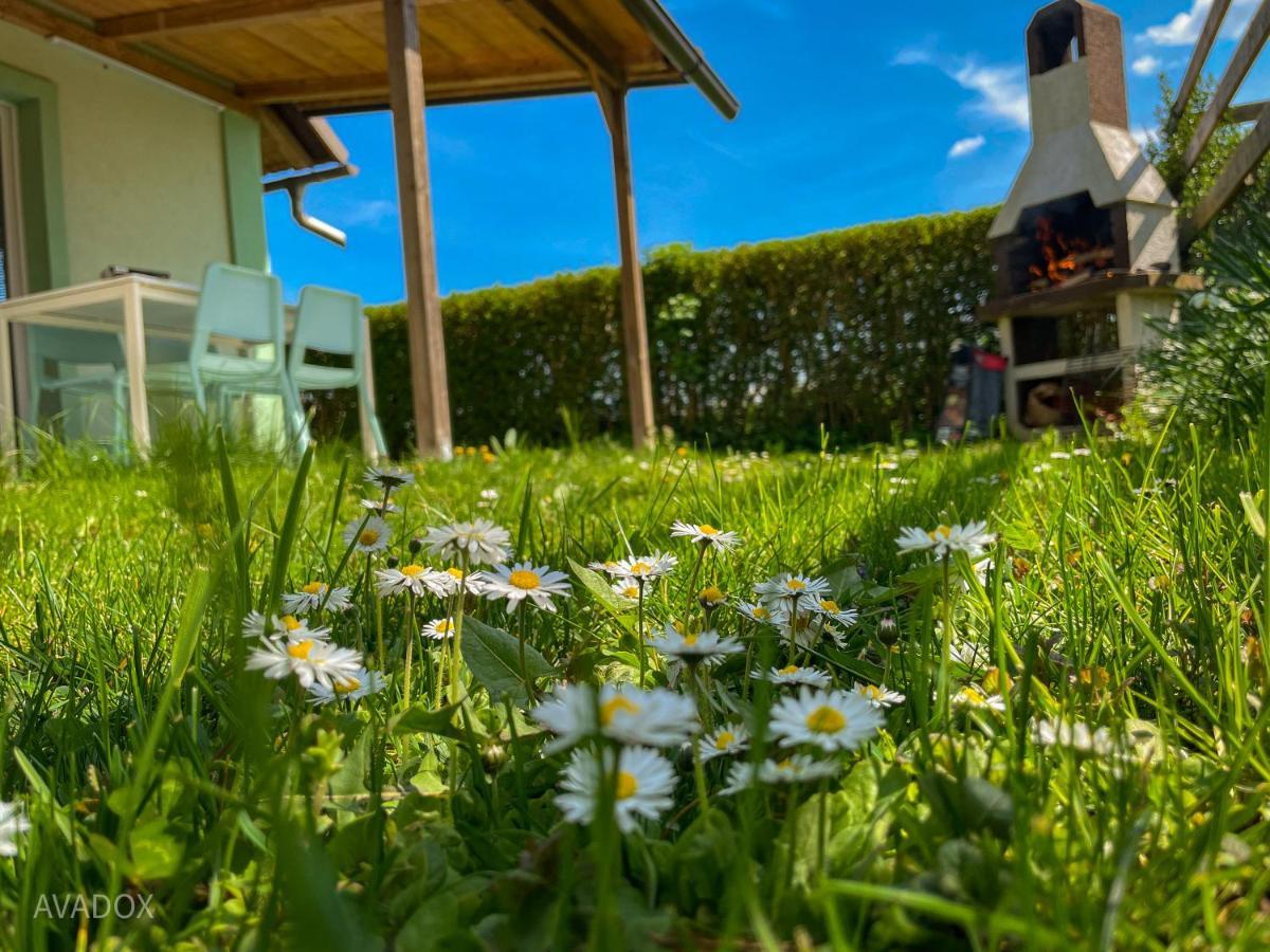 Green Oasis Garden Šenčur Kültér fotó