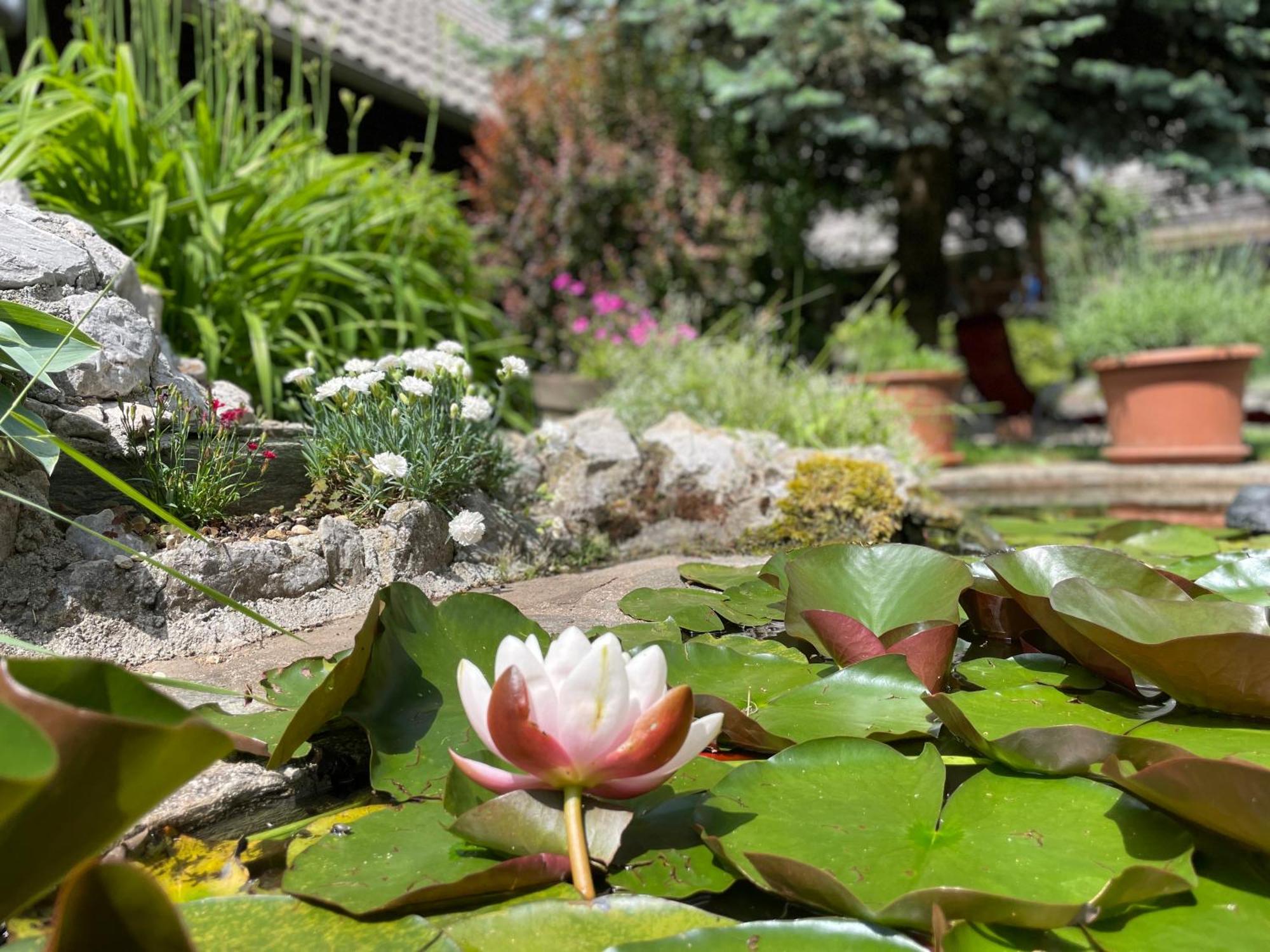 Green Oasis Garden Šenčur Kültér fotó