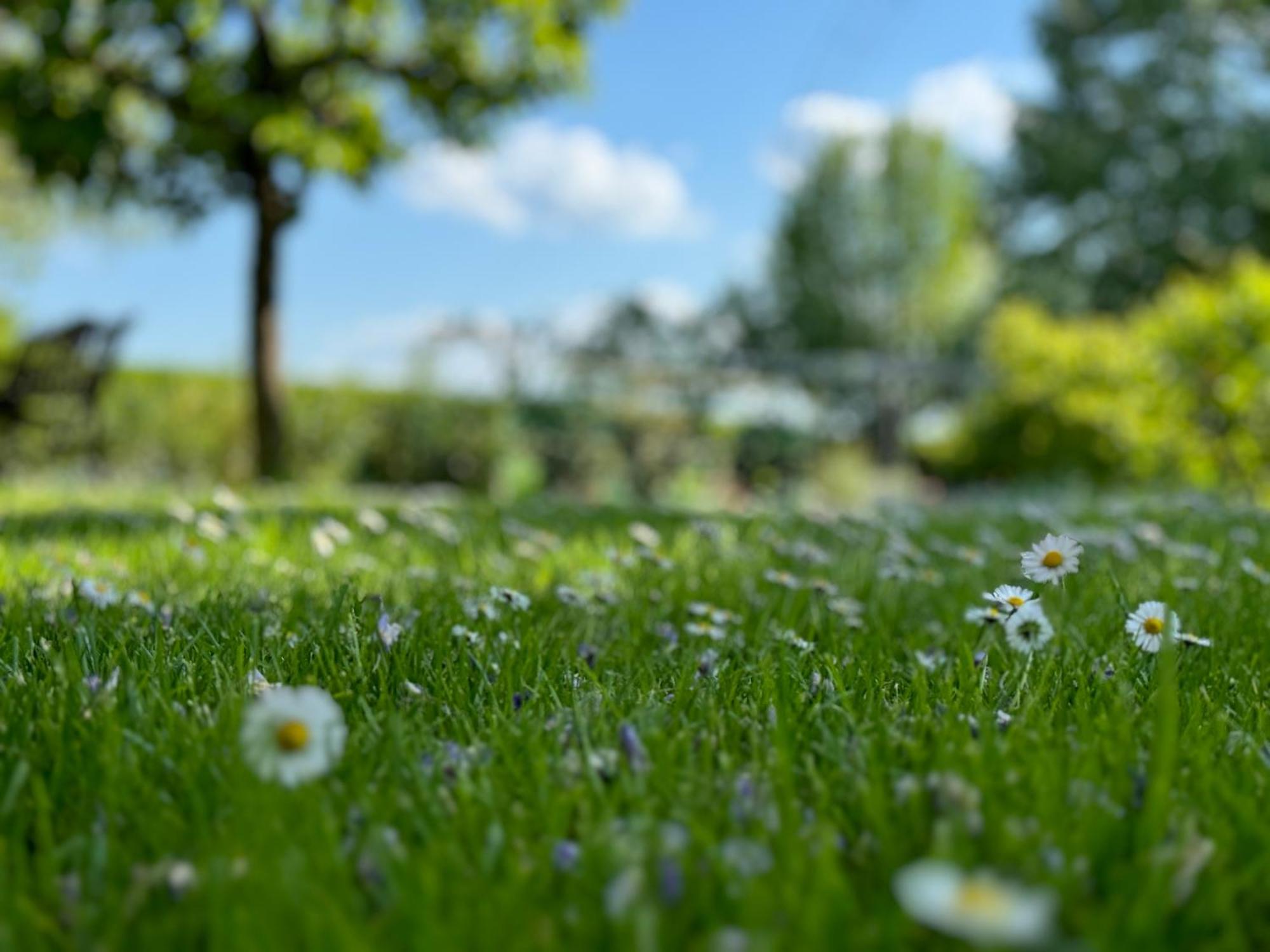 Green Oasis Garden Šenčur Kültér fotó