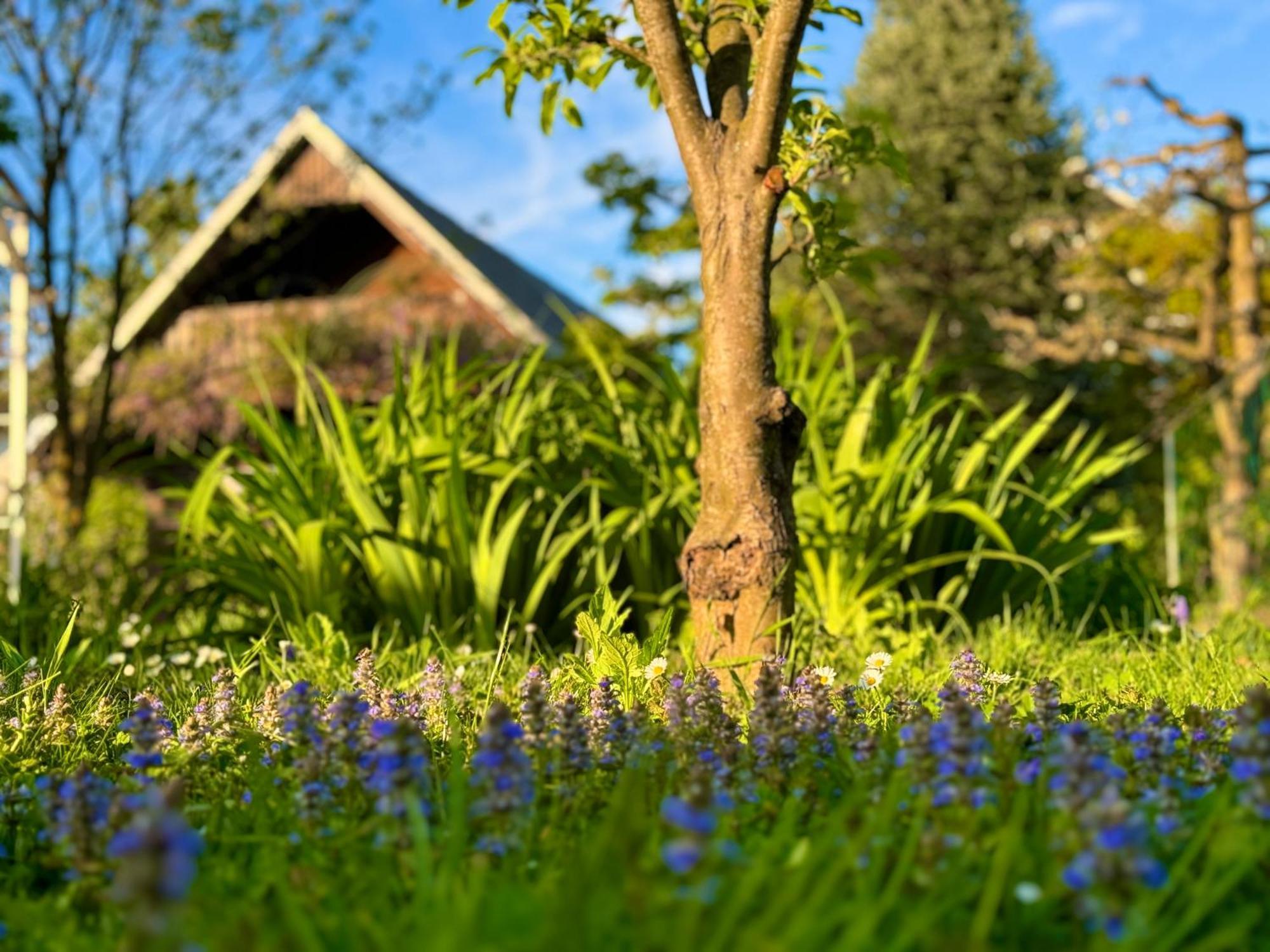 Green Oasis Garden Šenčur Kültér fotó